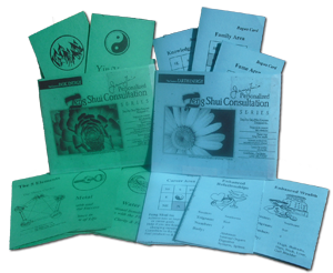 FS Flash Cards